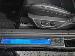 Ford Mustang EcoBoost Premium Fastback 2025