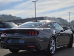 Ford Mustang EcoBoost Fastback 2026