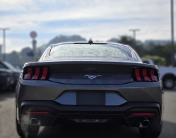 Ford Mustang EcoBoost Fastback 2026