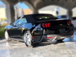 Ford Mustang EcoBoost Convertible 2026