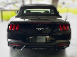 Ford Mustang EcoBoost Convertible 2026