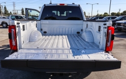 Ford Super Duty F-250 SRW Platinum 4WD Crew Cab 6.75' Box 2026