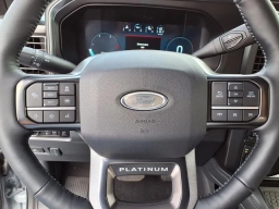Ford Super Duty F-350 DRW Platinum 4WD Crew Cab 8' Box 2026