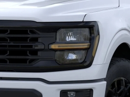 Ford F-150 XLT 4WD SuperCrew 5.5' Box 2026