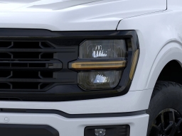 Ford F-150 XLT 4WD SuperCrew 5.5' Box 2026