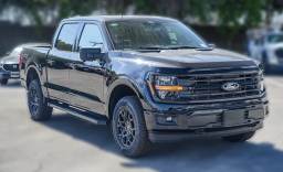 Ford F-150 XLT 4WD SuperCrew 5.5' Box 2026