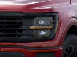 Ford F-150 XLT 4WD SuperCrew 5.5' Box 2025