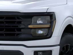 Ford F-150 XLT 4WD SuperCrew 5.5' Box 2026