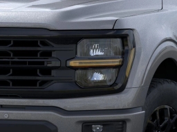 Ford F-150 XLT 4WD SuperCrew 6.5' Box 2026
