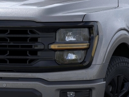 Ford F-150 XLT 4WD SuperCrew 6.5' Box 2026