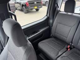 Ford F-150 XLT 4WD SuperCrew 5.5' Box 2025