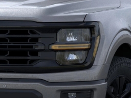 Ford F-150 XLT 4WD SuperCrew 5.5' Box 2026