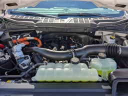 Ford F-150 XLT 4WD SuperCrew 5.5' Box 2026