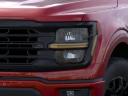 Ford F-150 XLT 4WD SuperCrew 5.5' Box 2025