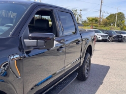 Ford F-150 Tremor 4WD SuperCrew 5.5' Box 2025