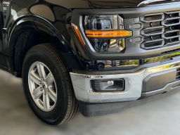 Ford F-150 XL 2WD Reg Cab 6.5' Box 2026