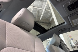 Toyota Camry XLE (Natl) 2026