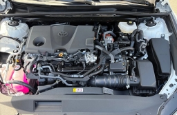 Toyota Camry LE (Natl) 2026