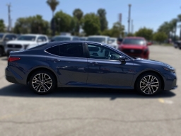 Toyota Camry XLE (Natl) 2026