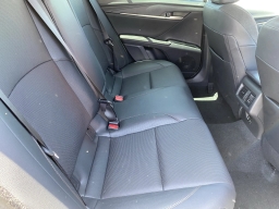 Toyota Camry XLE (Natl) 2026