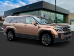 Hyundai Santa Fe Calligraphy AWD 2026