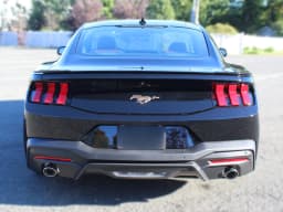 Ford Mustang EcoBoost Premium Fastback 2026 — side view