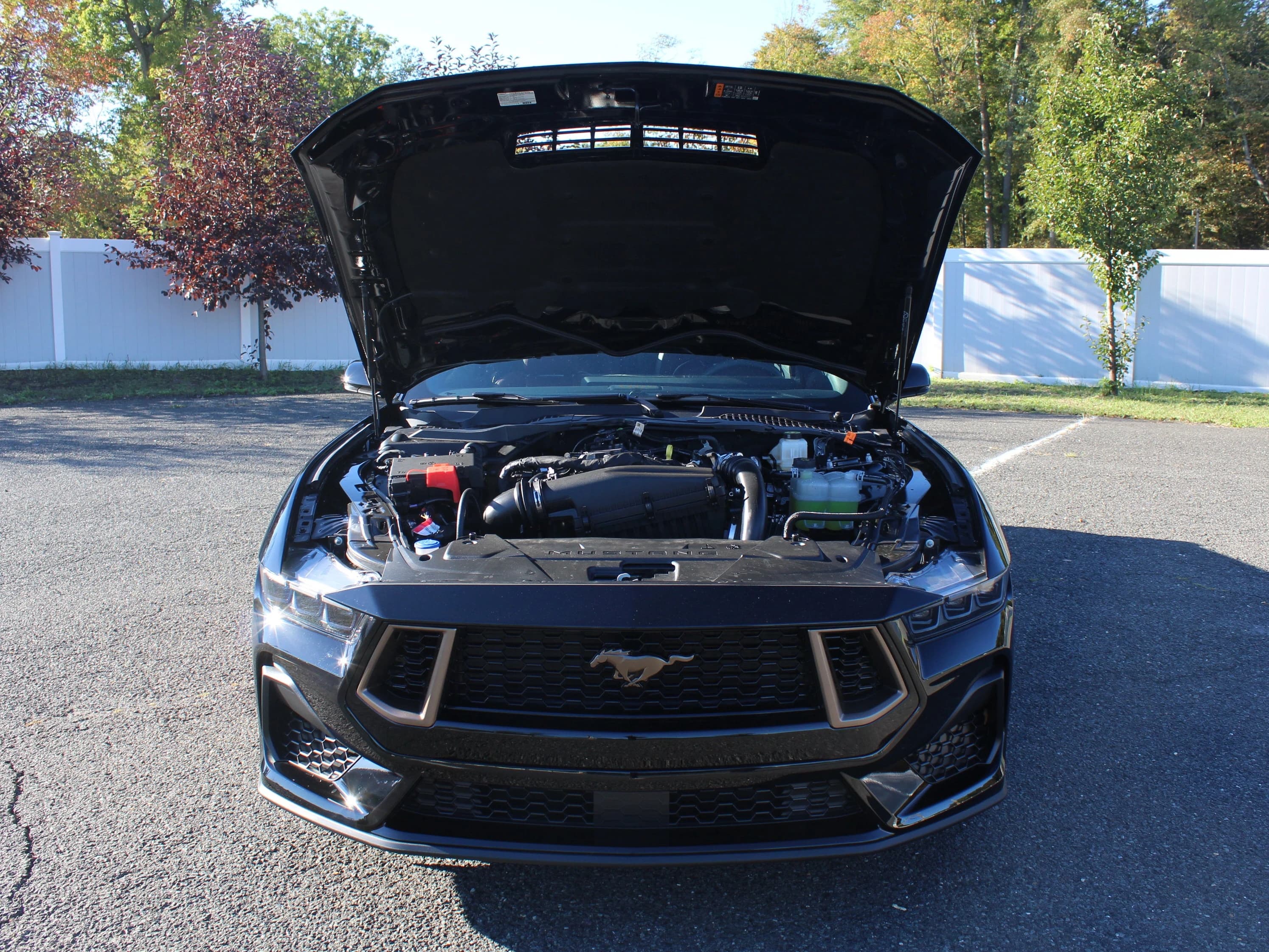 Ford Mustang EcoBoost Premium Fastback 2026 — side view