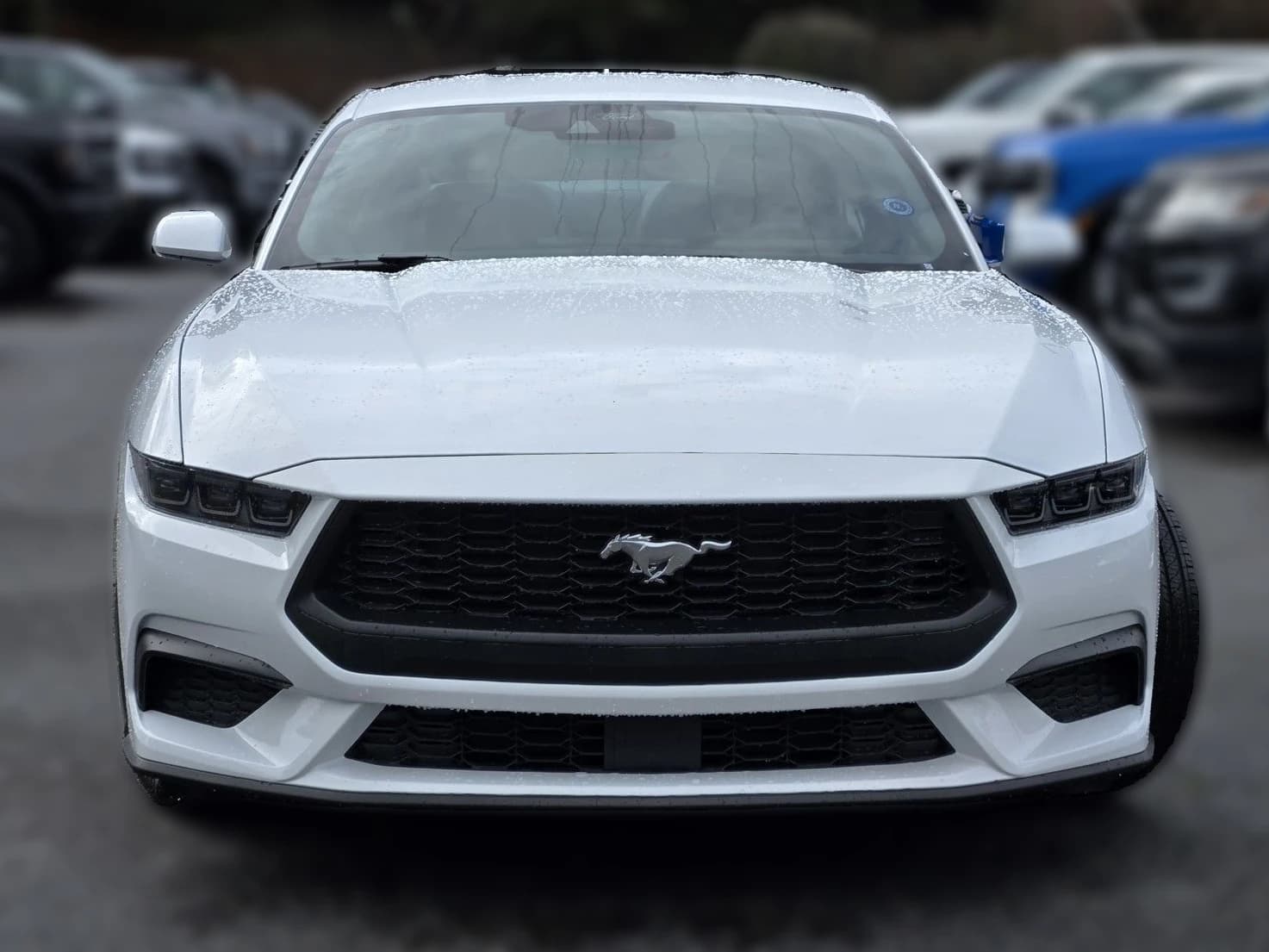 Ford Mustang EcoBoost Fastback 2026 — side view