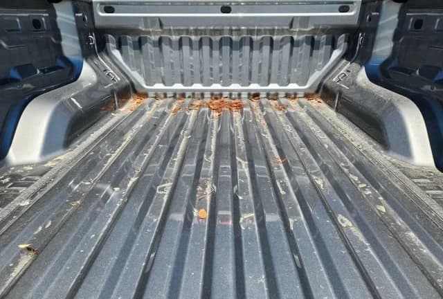 GMC Canyon 2WD Elevation 2WD Crew Cab 2026 — side view
