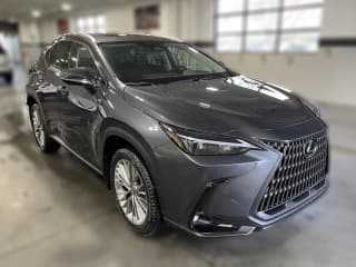 Lexus NX NX 350 Premium AWD
