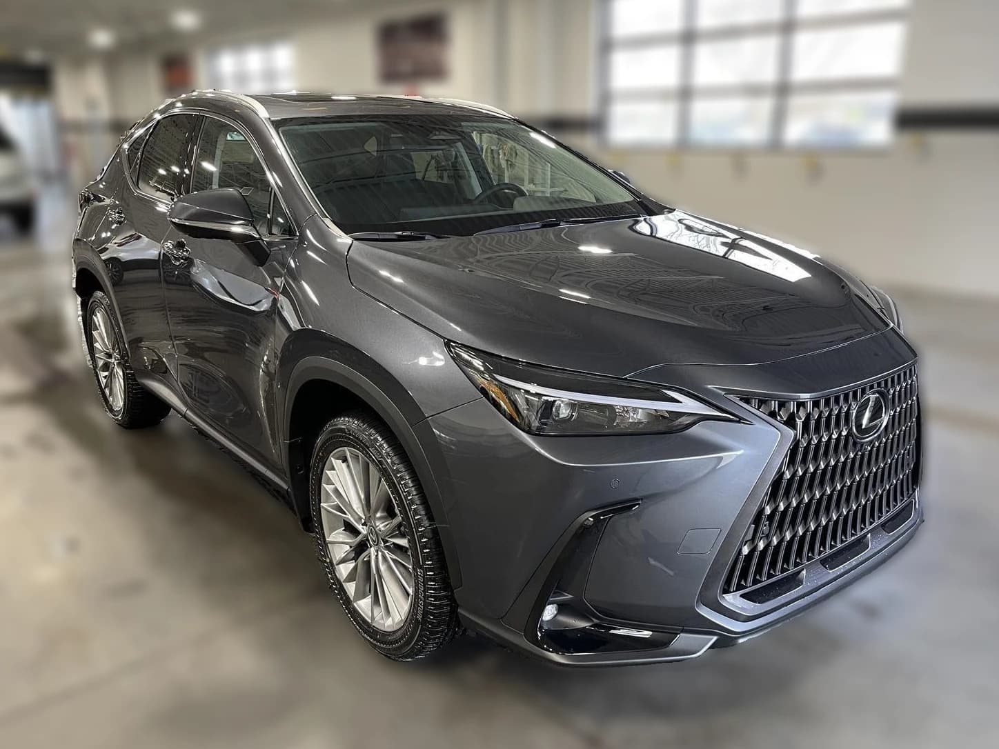 Lexus NX NX 350 Premium AWD 2026 — side view