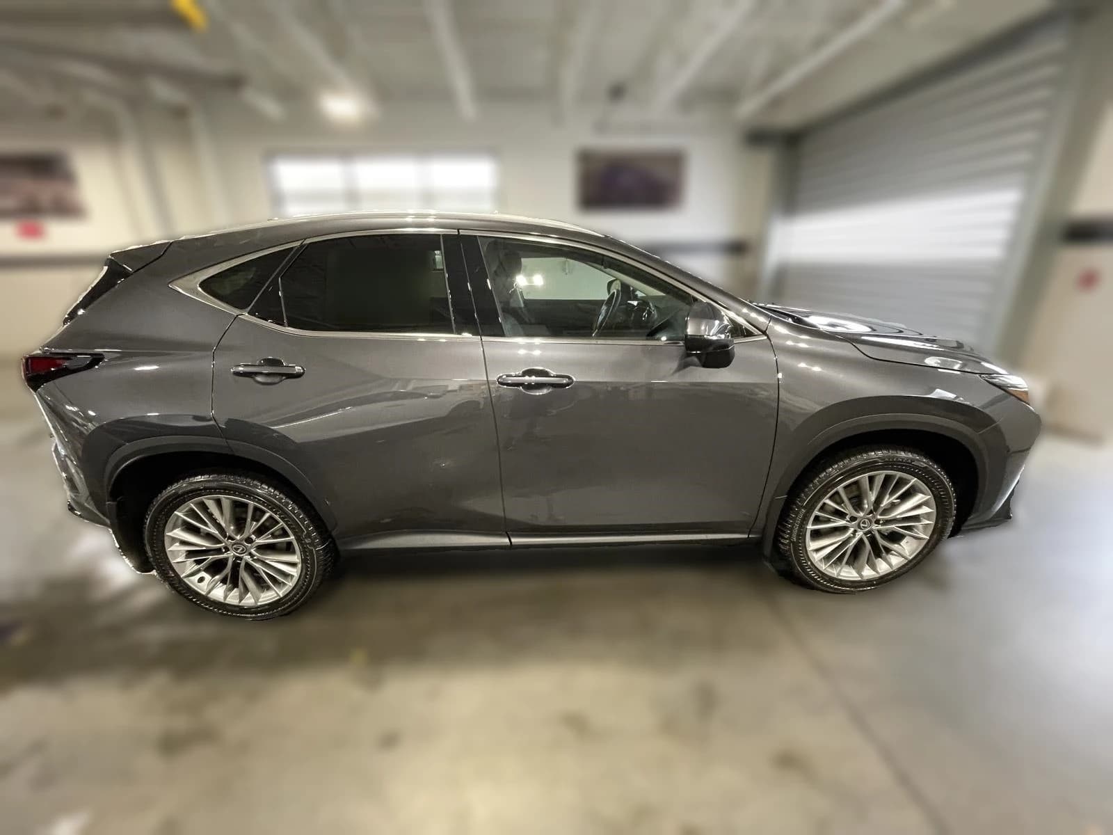Lexus NX NX 350 Premium AWD 2026 — side view
