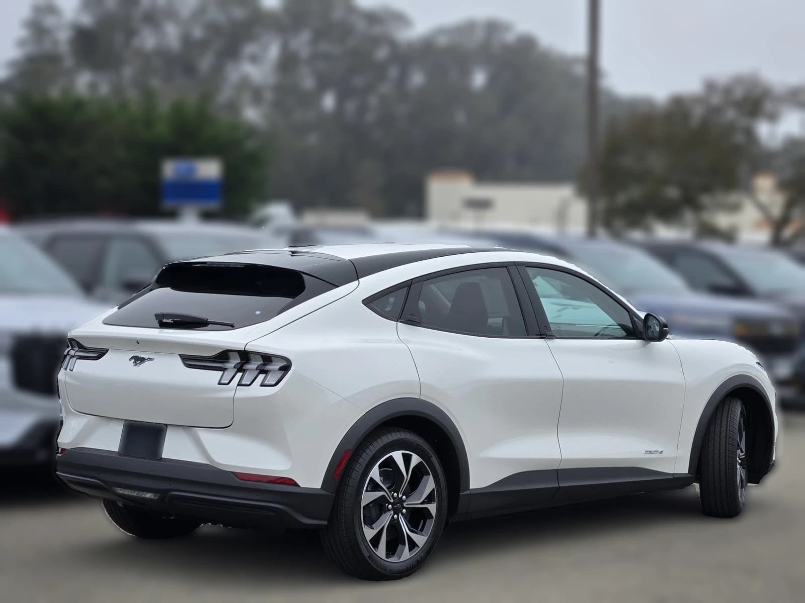 Ford Mustang Mach-E Select RWD 2026 — side view