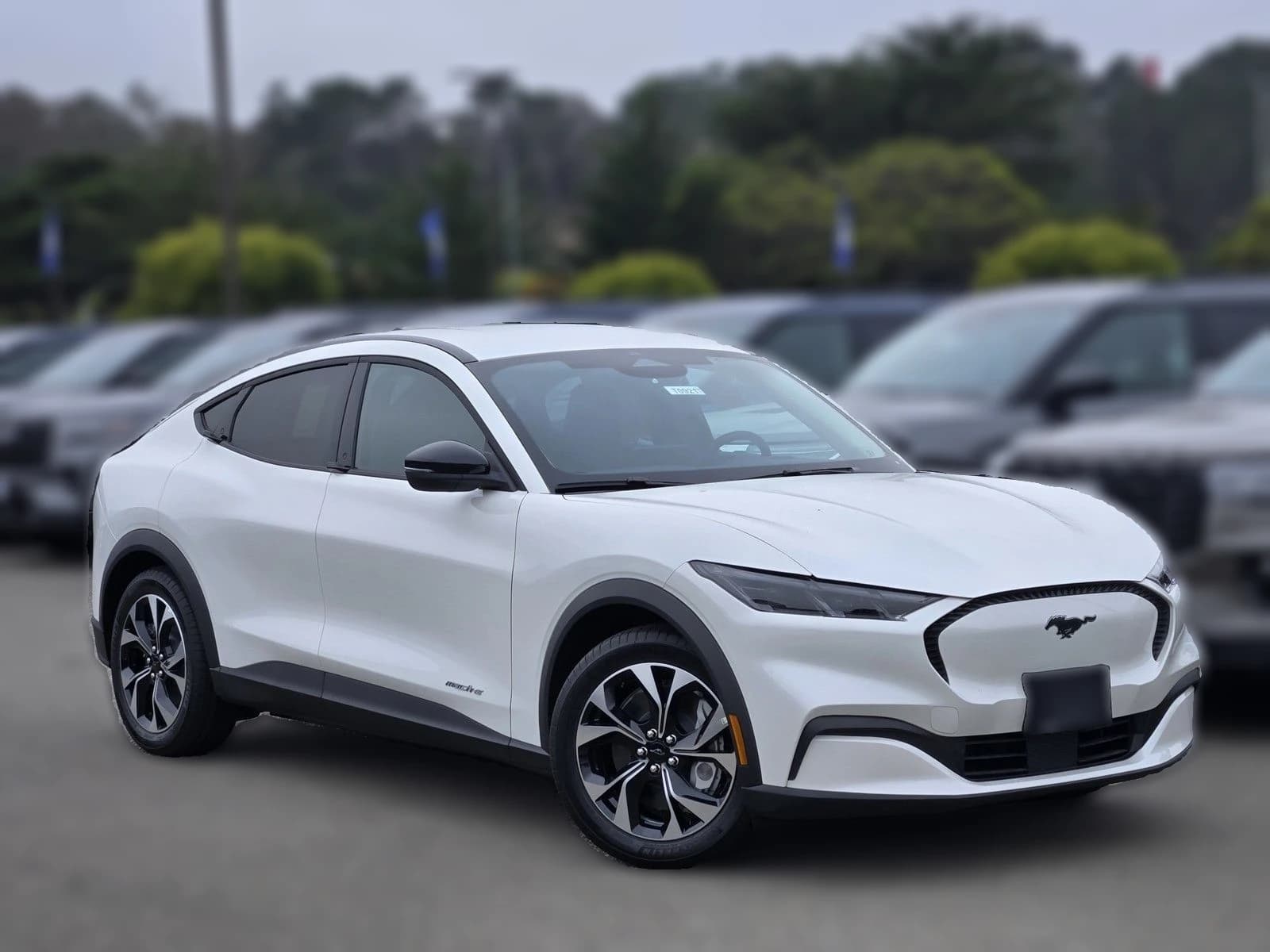 Ford Mustang Mach-E Select RWD 2026 — side view
