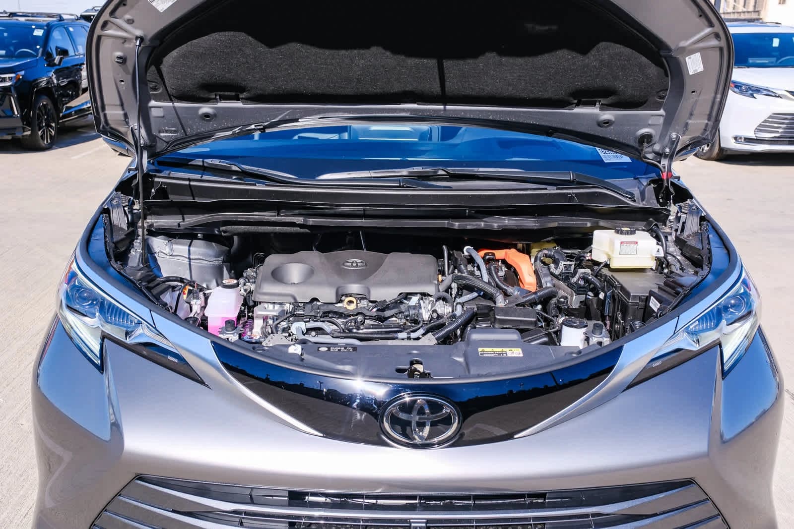 Toyota Sienna Platinum AWD 7-Passenger (Natl) 2026 — side view
