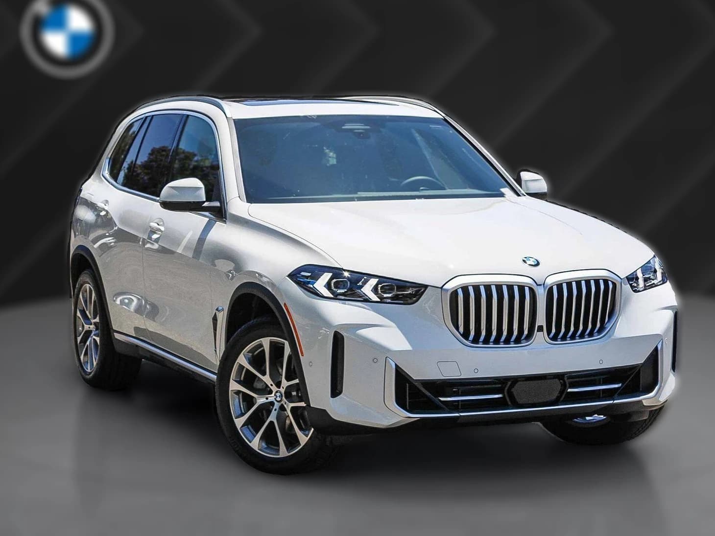BMW X5 sDrive40i Sports Activity Vehicle 2026 — side view