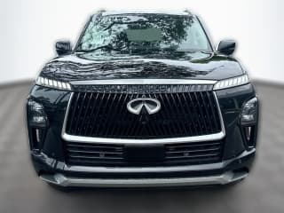 INFINITI QX80 LUXE AWD