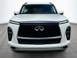 INFINITI QX80 LUXE RWD