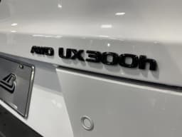 Lexus UX UX 300h Premium AWD 2026 — side view