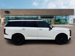 Hyundai Palisade Hybrid Calligraphy Black Ink AWD 2027 — side view