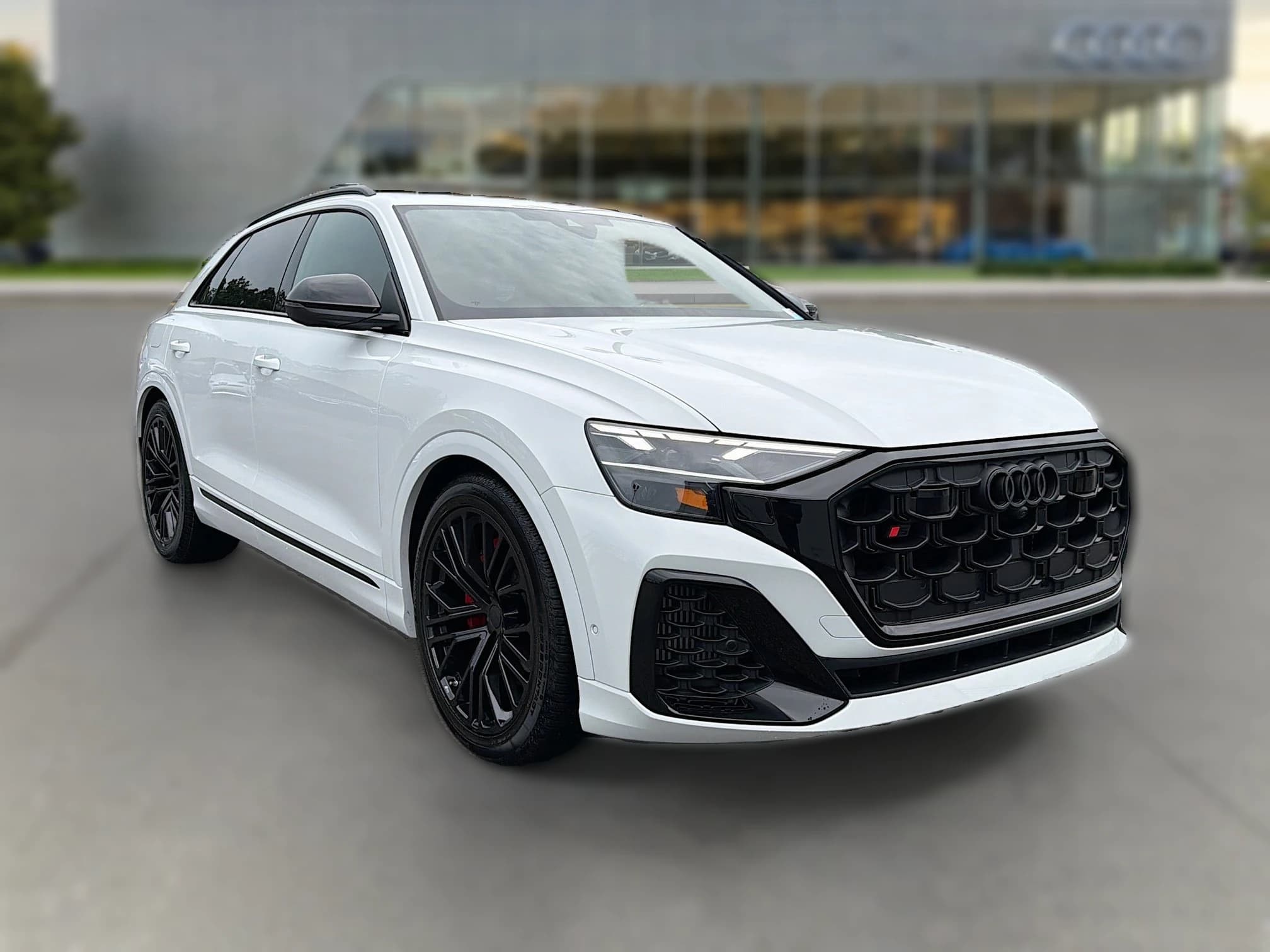Audi SQ8 Premium Plus quattro 2026 — side view