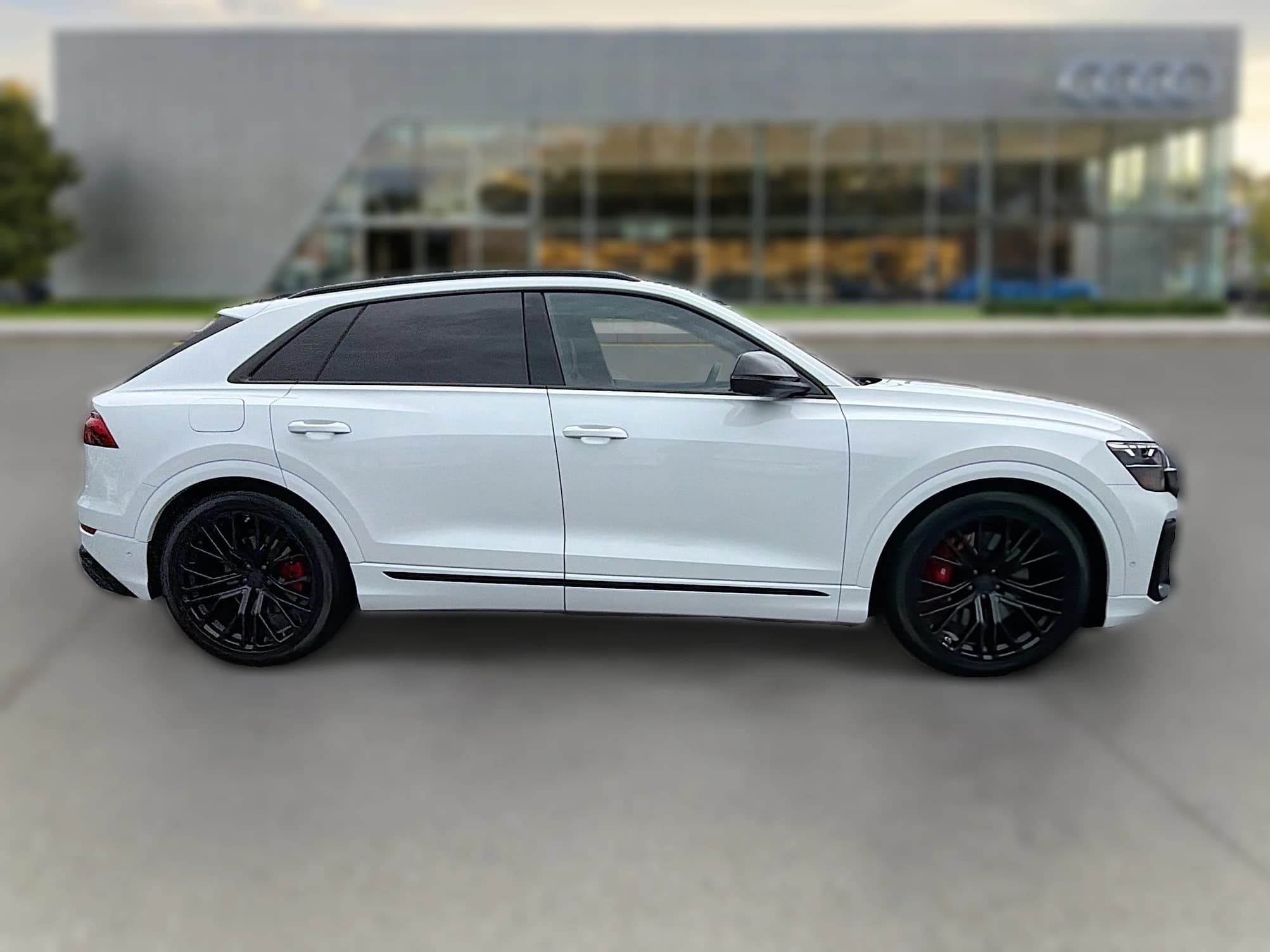 Audi SQ8 Premium Plus quattro 2026 — side view