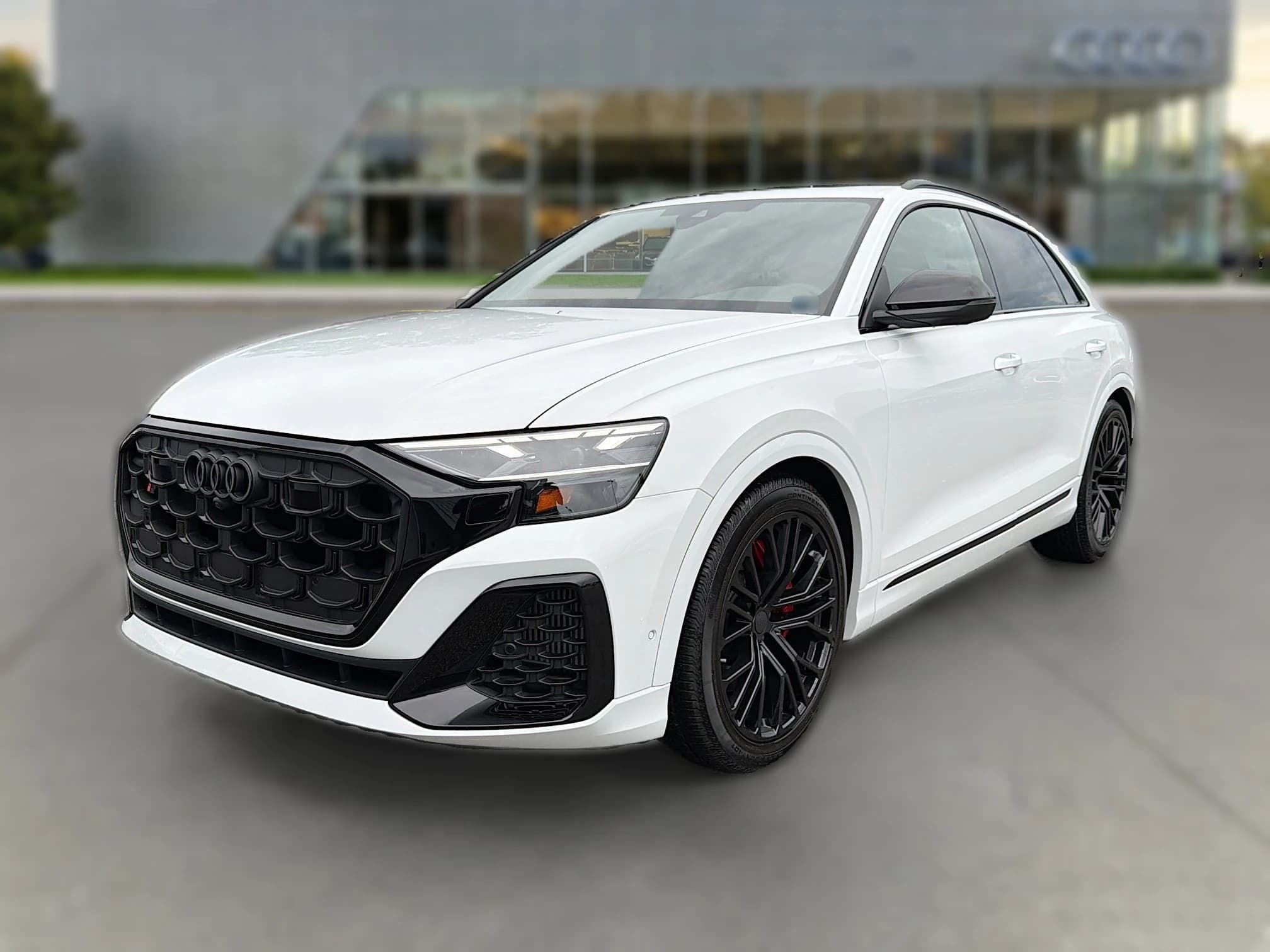 Audi SQ8 Premium Plus quattro 2026 — side view