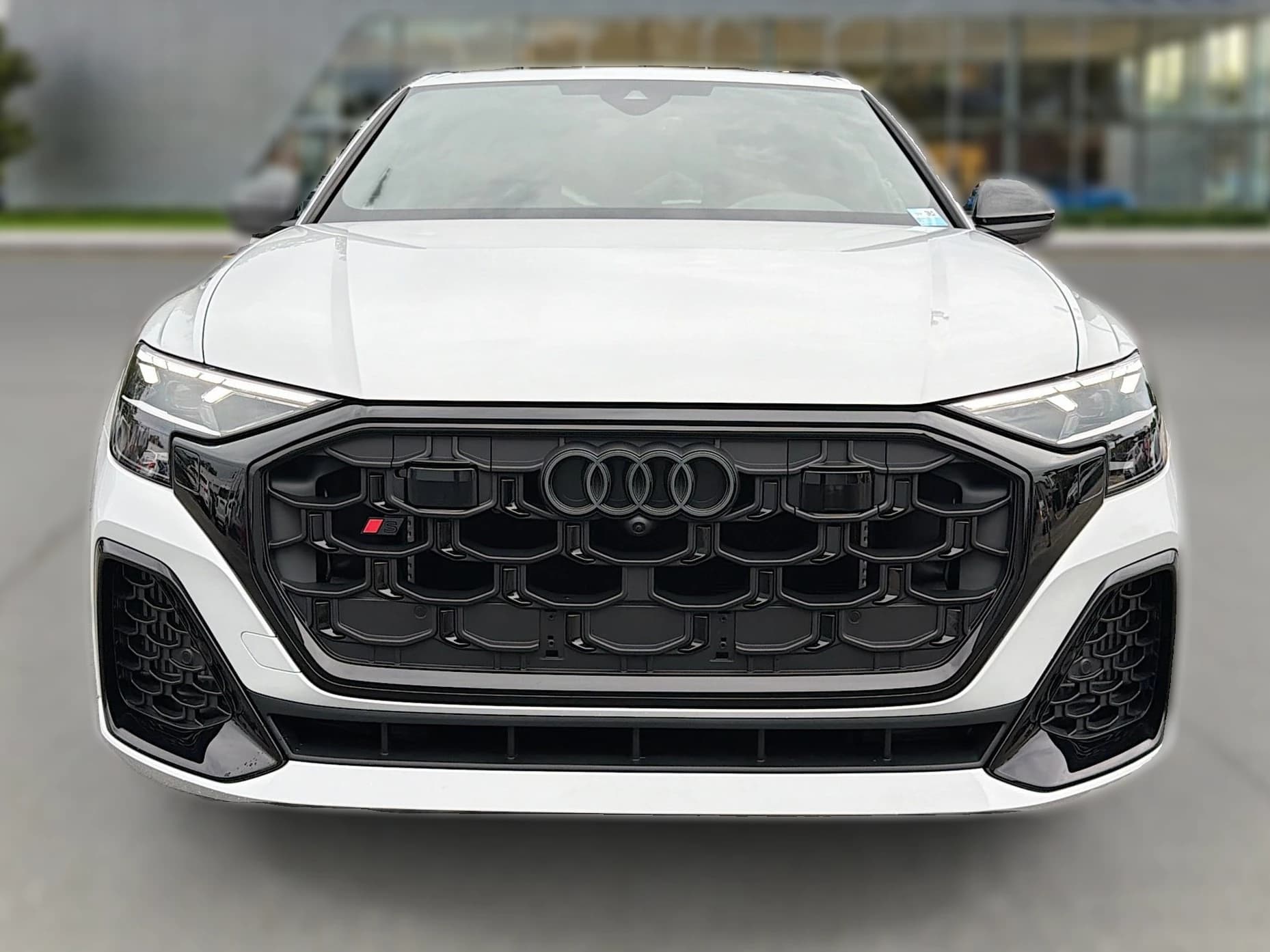 Audi SQ8 Premium Plus quattro 2026 — side view