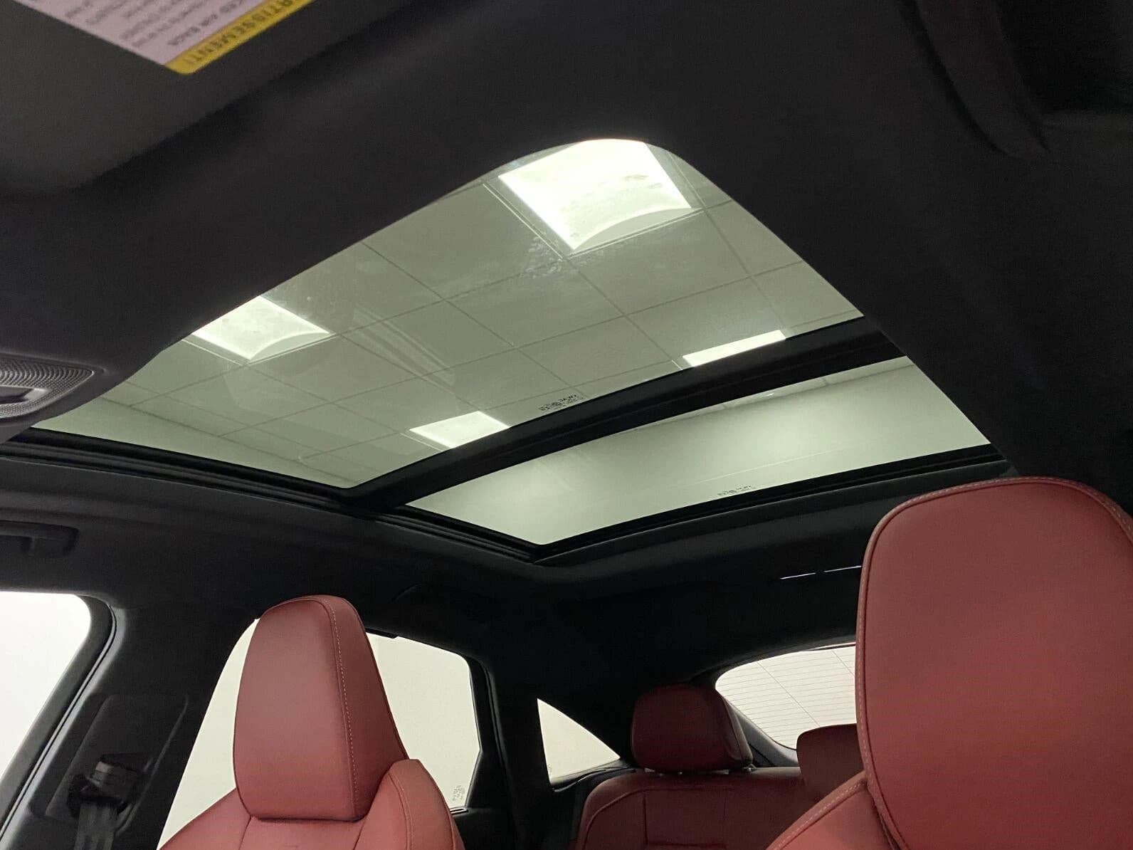 Audi SQ5 Sportback Premium Plus 3.0 TFSI quattro 2026 — side view