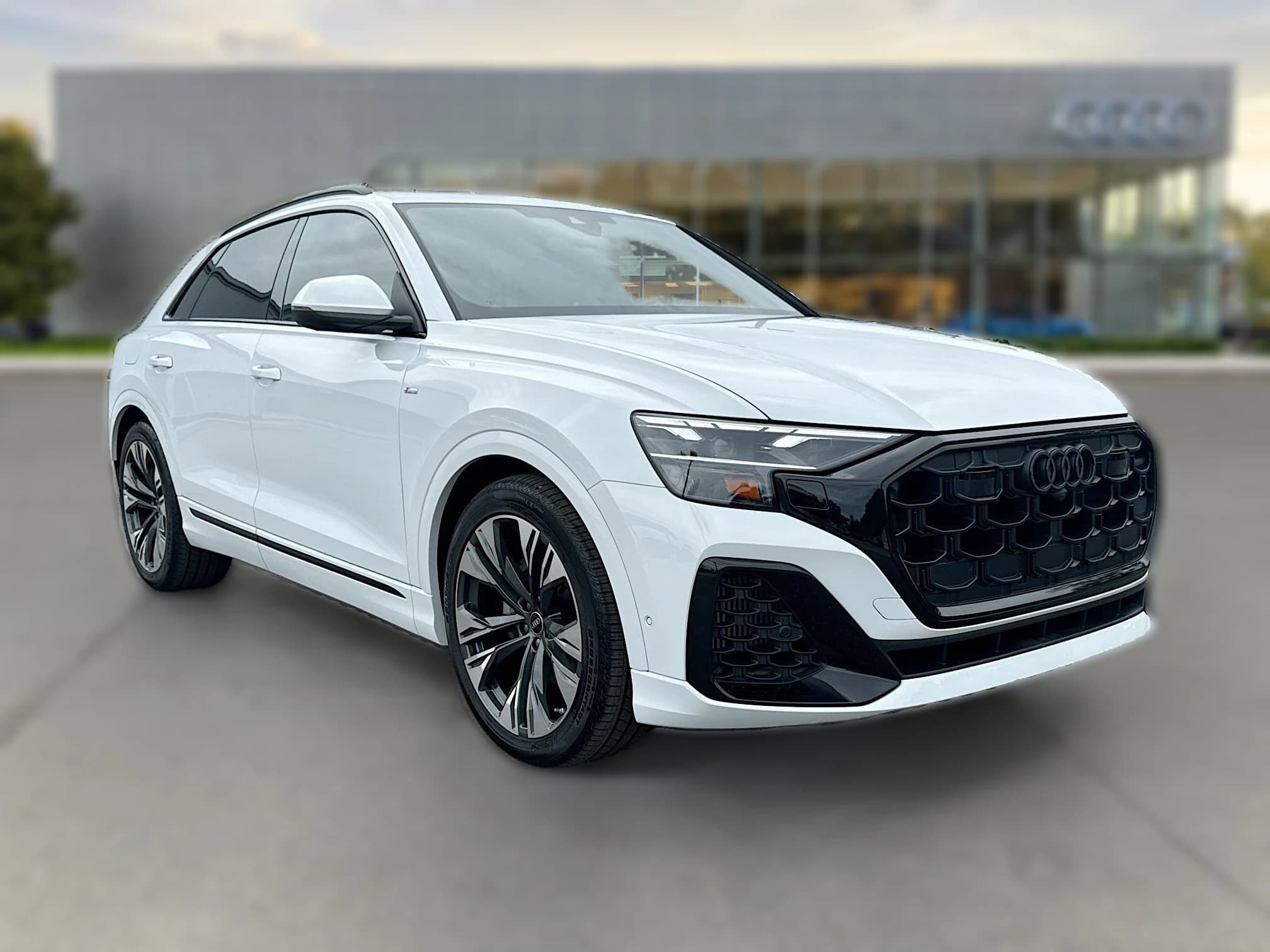 Audi Q8 Premium Plus quattro 2026 — side view