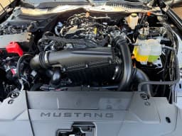 Ford Mustang EcoBoost Fastback 2026 — side view