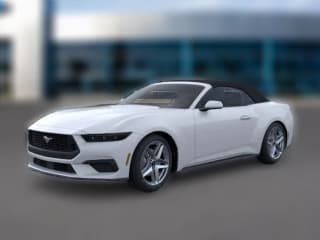 Ford Mustang EcoBoost Convertible Ford Mustang EcoBoost Convertible