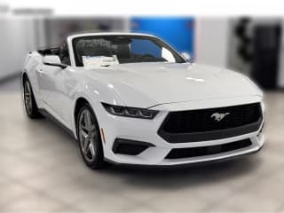 Ford Mustang EcoBoost Premium Convertible Ford Mustang EcoBoost Premium Convertible